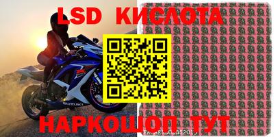 jwh Кингисепп