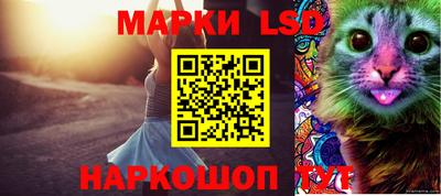прущая мука Кимры
