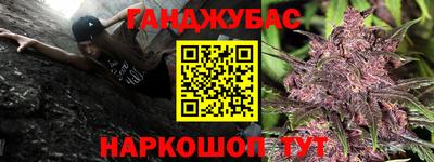 jwh Кингисепп