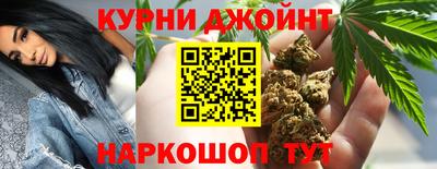 jwh Кингисепп