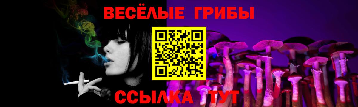 Волоколамск  Галлюциногенные грибы Psilocybine cubensis  Галлюциногенные грибы Magic Shrooms  Вход с VPN 